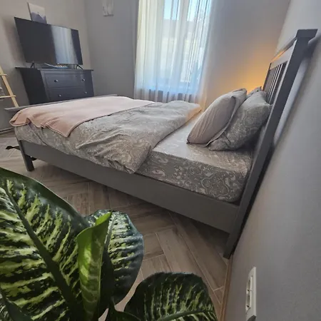 Zig Zag 4- Old Town Apartment Constanta