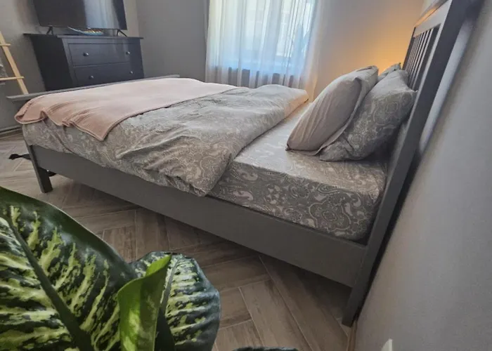 Zig Zag 4- Old Town アパート コンスタンツァ