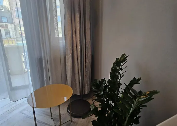 Zig Zag 4- Old Town * コンスタンツァ